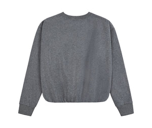 VARSITY TUCKED SWEATSHIRT (MINI LOGO) DARK HEATHER GREY/MINT – The Bar